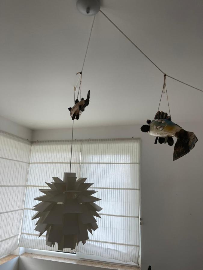 Caprice Apartment In Lozenec 希典 外观 照片